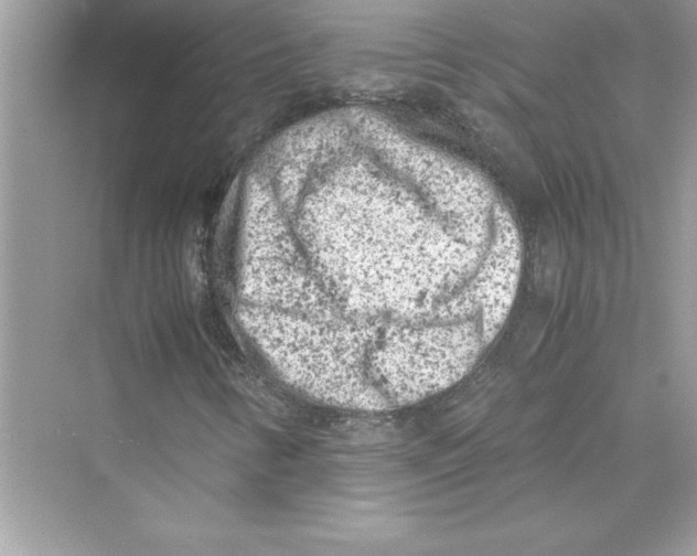 X0000072551346200608111828