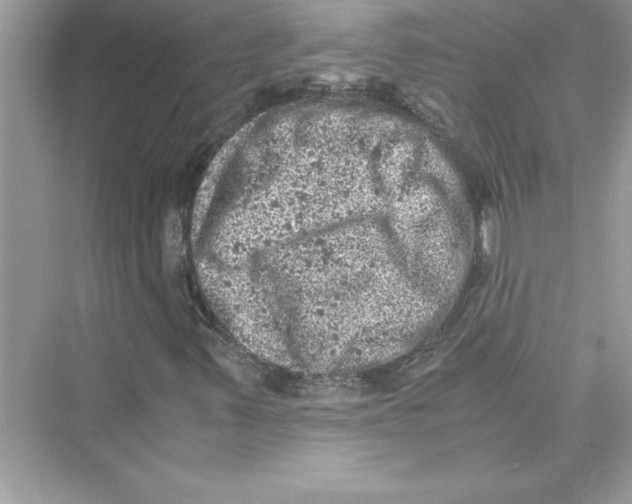 X0000072551347200608111828