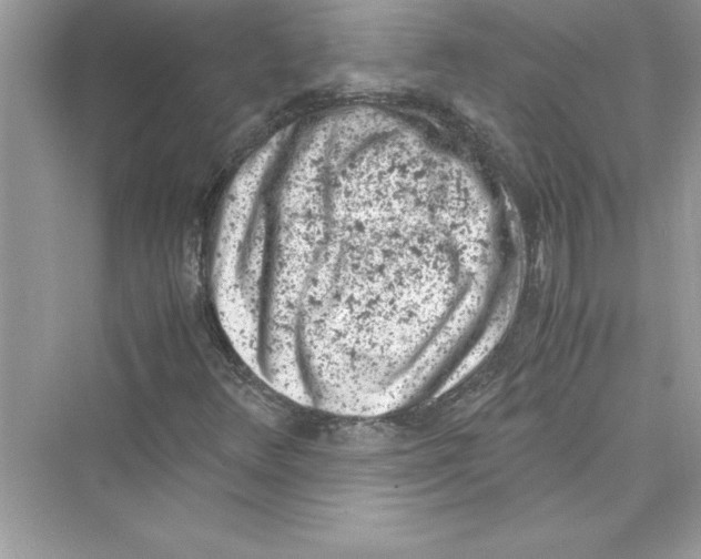 X0000072551348200608111828