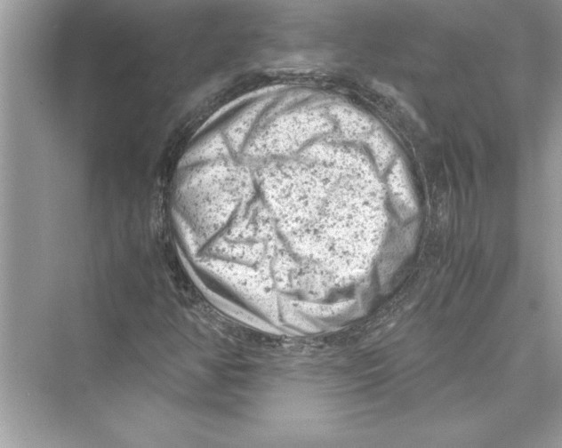 X0000072551350200608111828