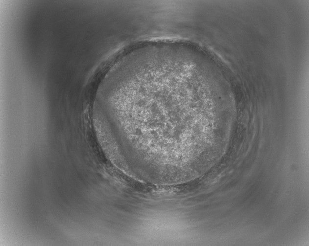 X0000072551351200608111828