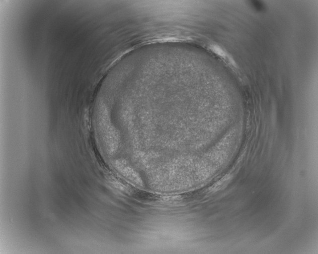 X0000072551353200608111828