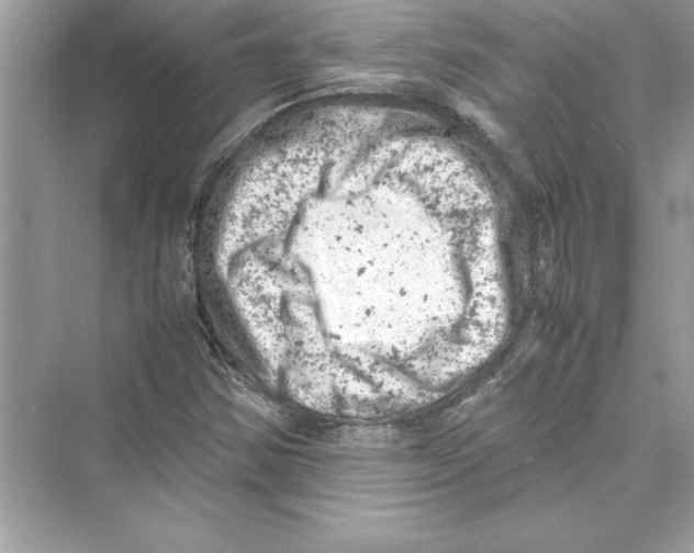 X0000072551354200608111828