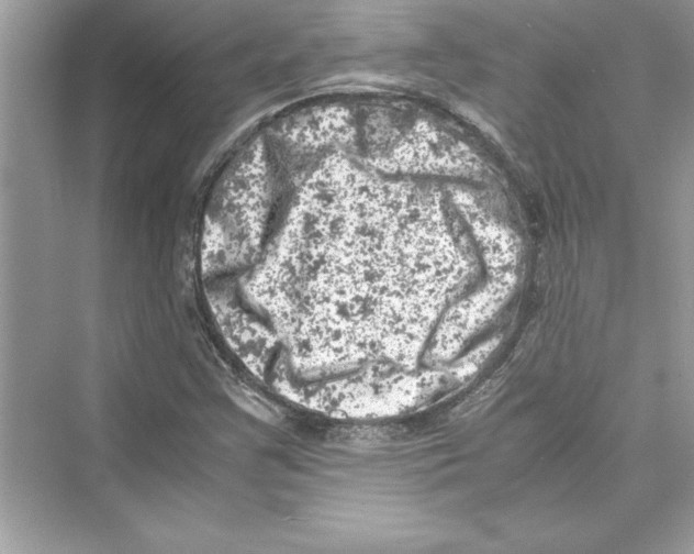 X0000072551355200608111828