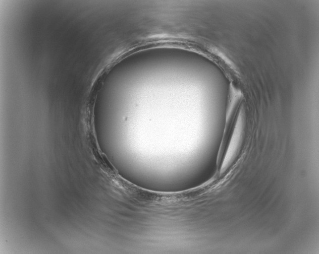 X0000072551357200608111828