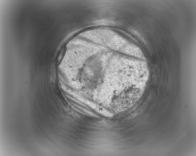 X0000072551358200608111828