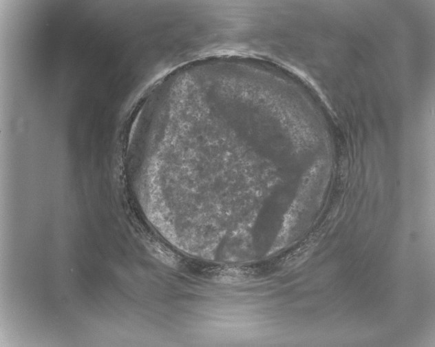 X0000072551359200608111828