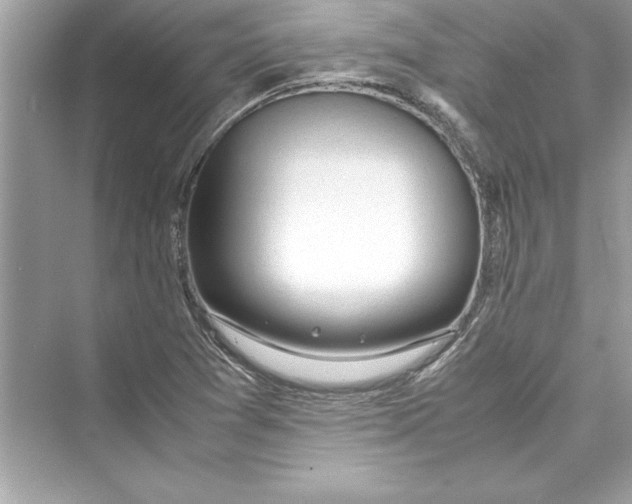 X0000072551361200608111828