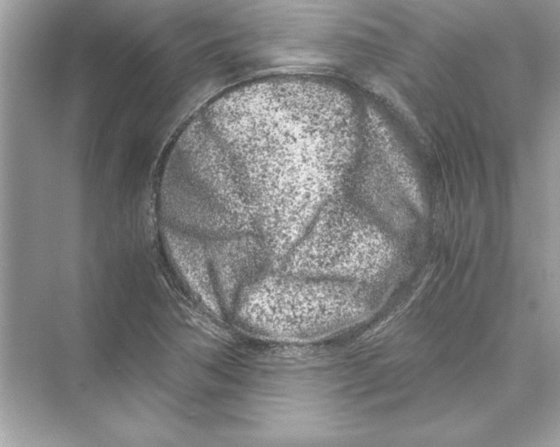 X0000072551362200608111828