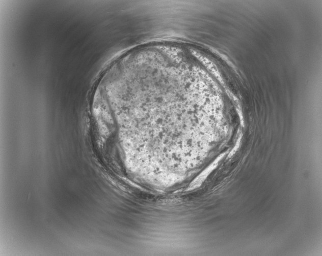 X0000072551363200608111828