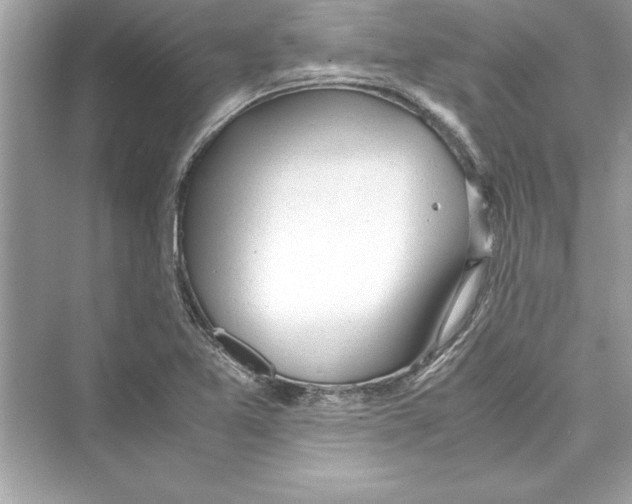 X0000072551365200608111828