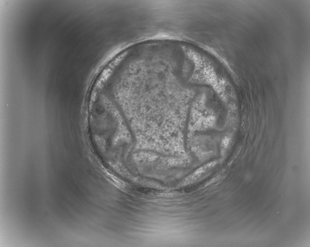 X0000072551367200608111828