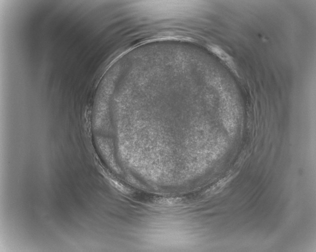 X0000072551369200608111828