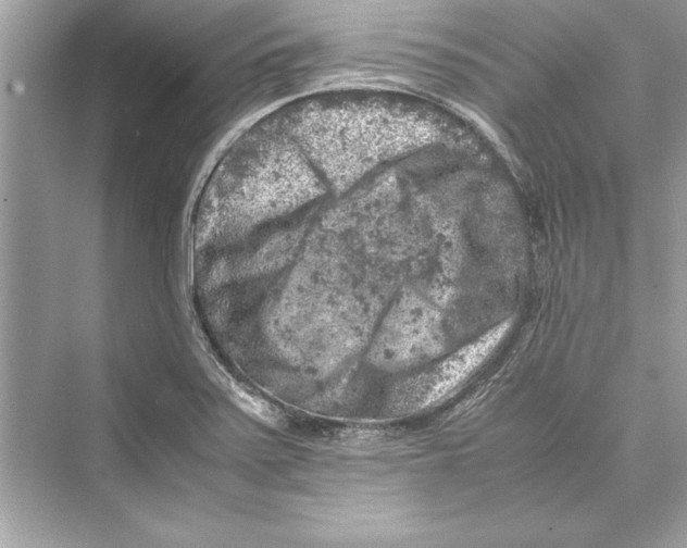 X0000072551371200608111828