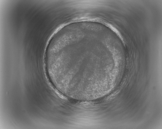 X0000072551373200608111828