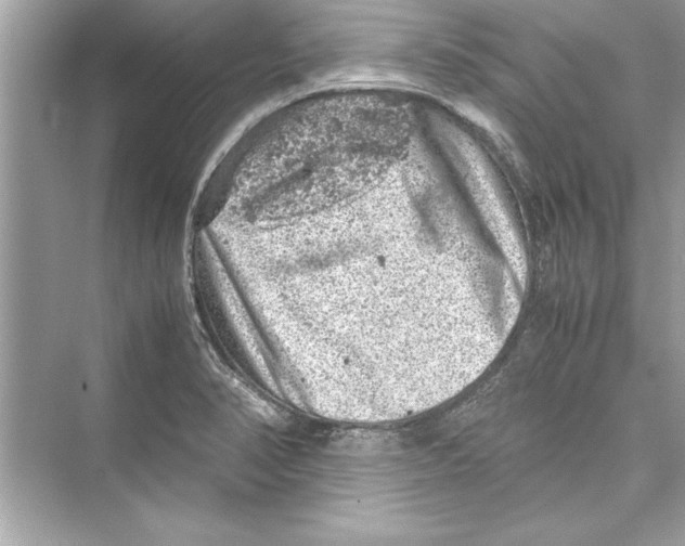 X0000072551374200608111828