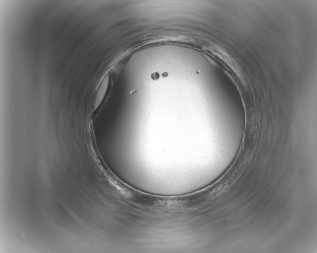 X0000072551377200608111828