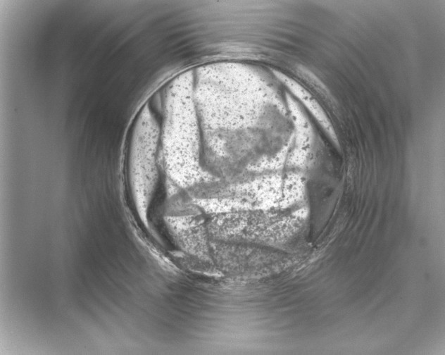 X0000072551378200608111828