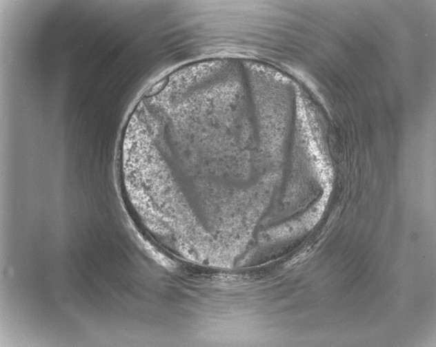 X0000072551379200608111828