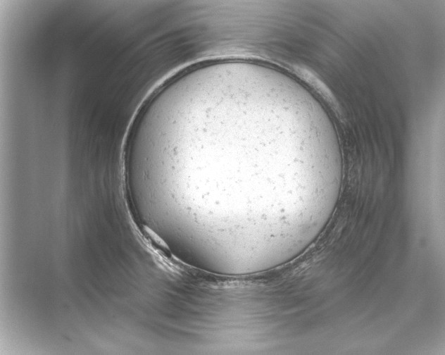 X0000072551380200608111827