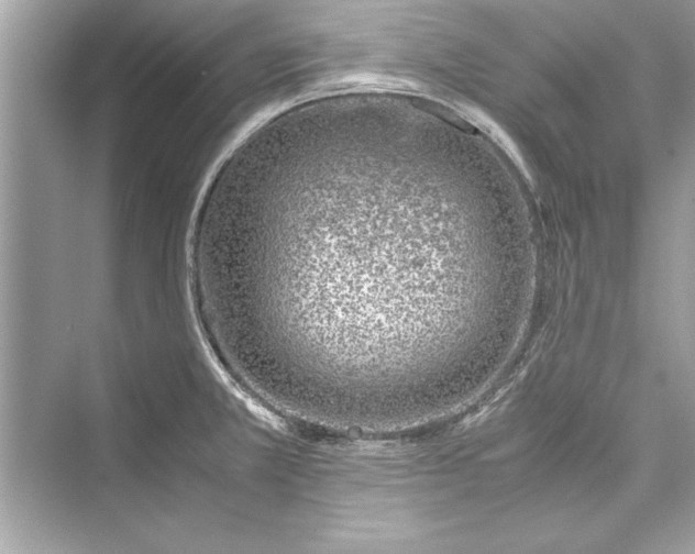 X0000072551381200608111827