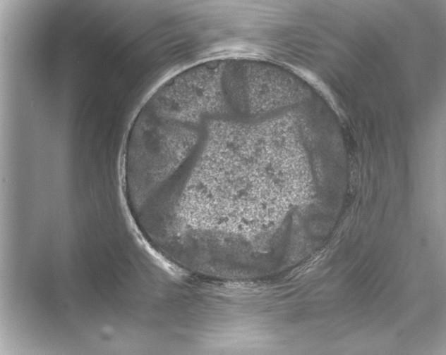 X0000072551383200608111827