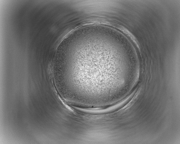 X0000072551385200608111827