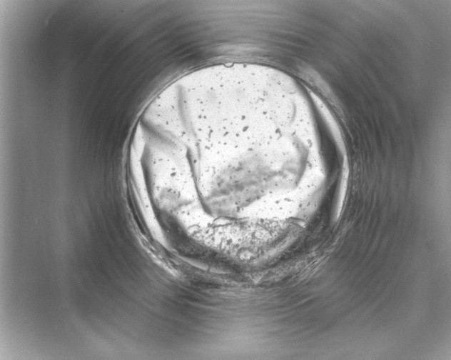 X0000072551386200608111827