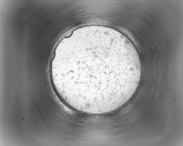 X0000072551387200608111827