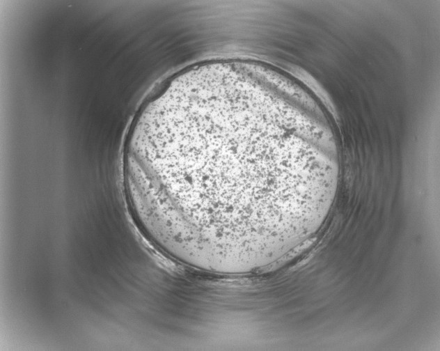 X0000072551388200608111827