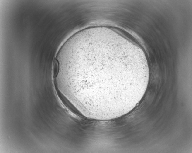 X0000072551390200608111827