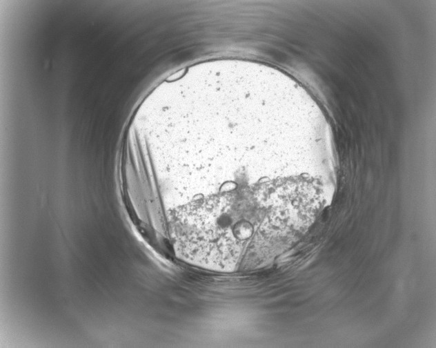 X0000072551391200608111827