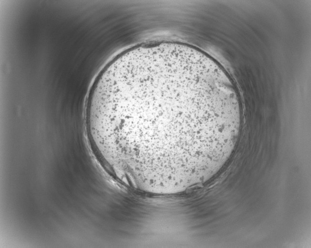 X0000072551392200608111827