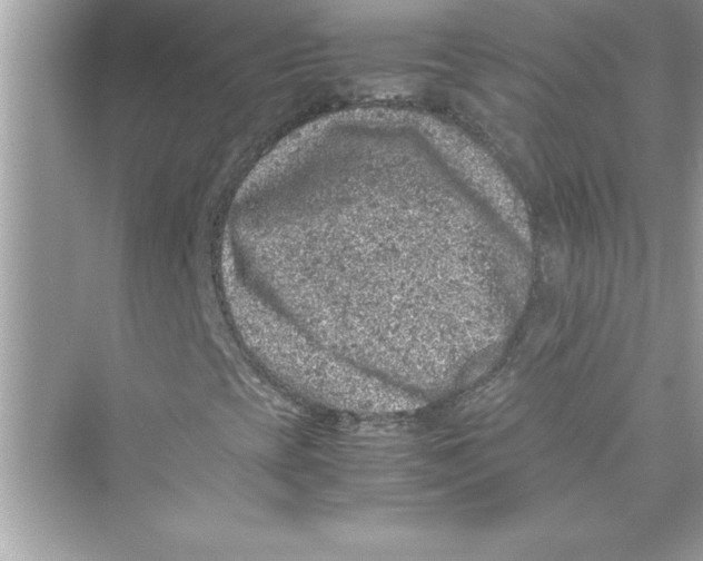 X0000072551393200608111826