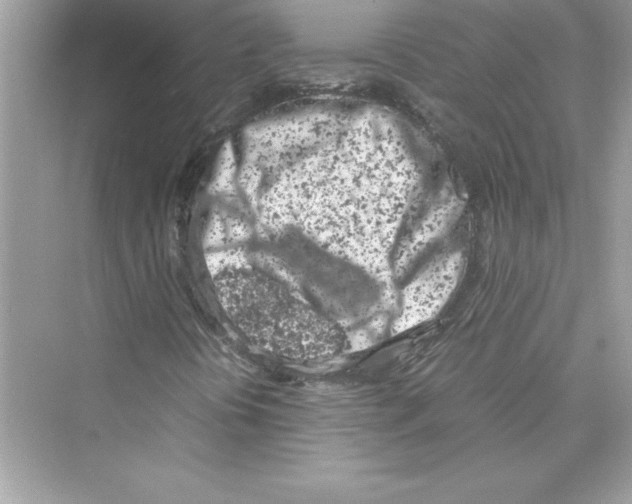 X0000072551394200608111826