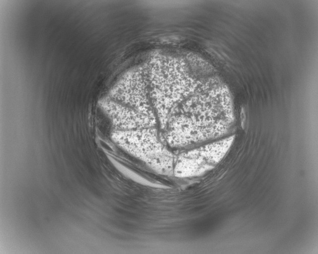 X0000072551395200608111827