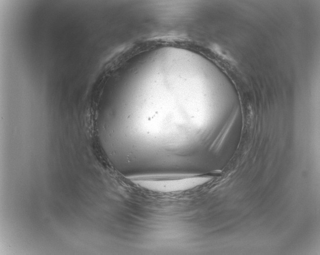 X0000072551398200608111827