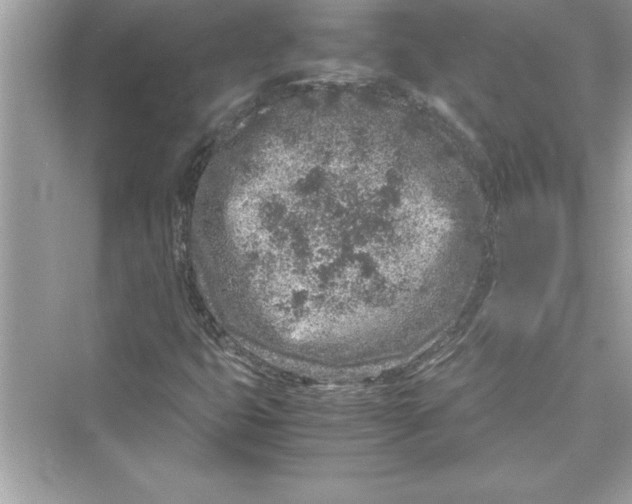 X0000072551399200608111827