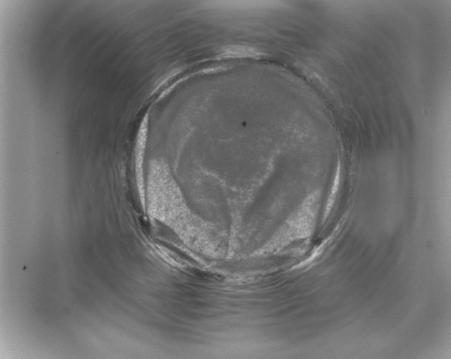 X0000072551401200608111827