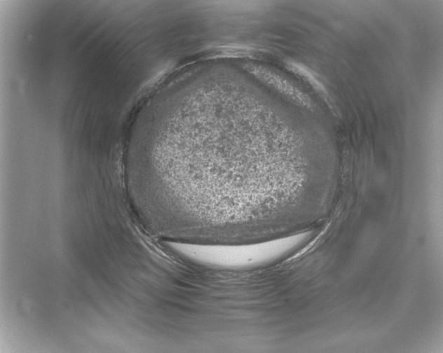 X0000072551403200608111827