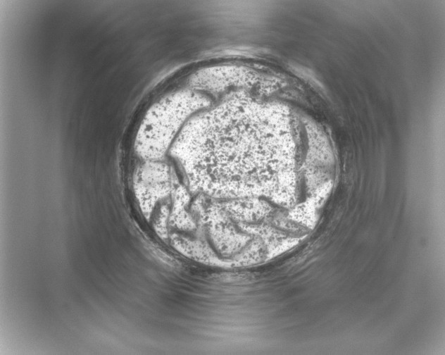 X0000072551404200608111827