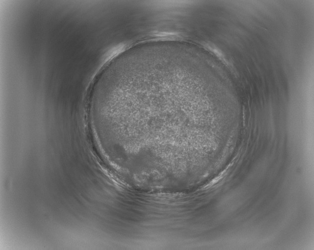 X0000072551405200608111827