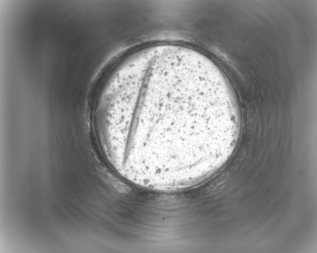 X0000072551408200608111827