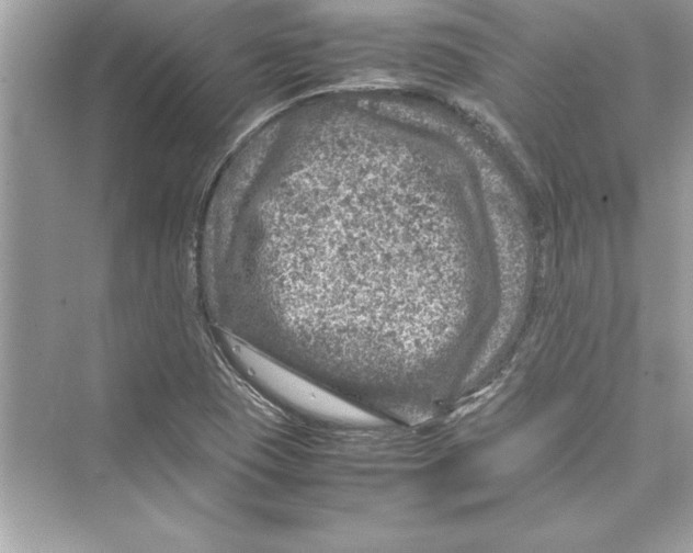 X0000072551409200608111827