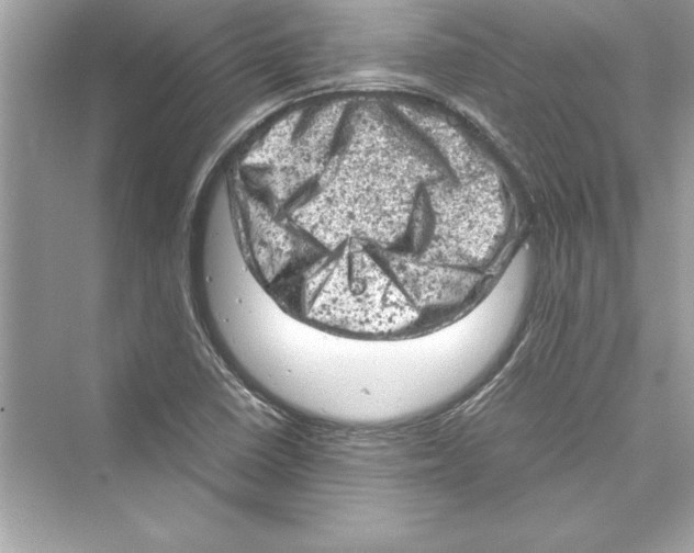 X0000072551410200608111827