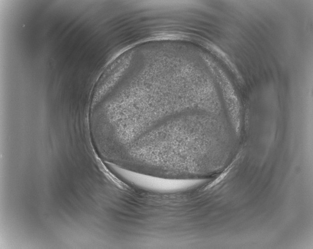 X0000072551417200608111827