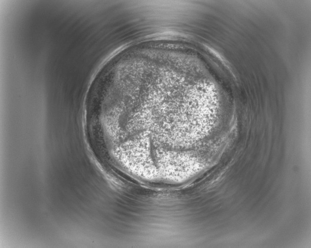 X0000072551418200608111827