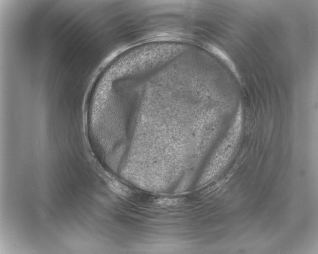 X0000072551419200608111827