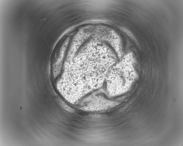 X0000072551420200608111827