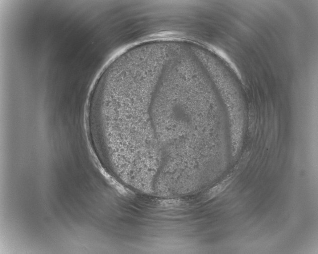 X0000072551421200608111827